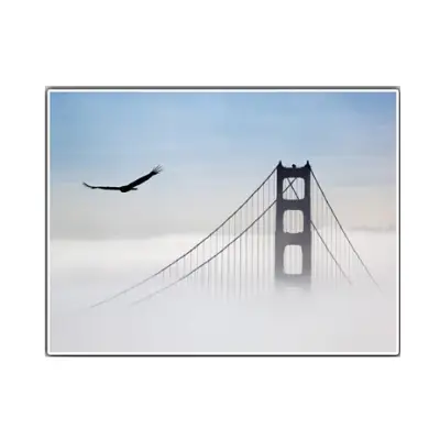 Aigle survolant le Golden Gate - 66 x 50 cm