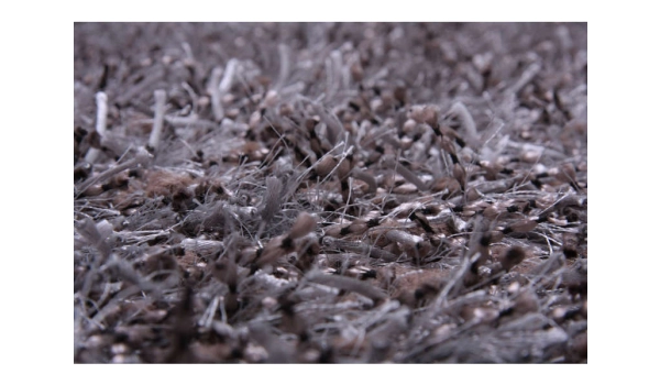 Tapis JUNGLE - 160 x 230 cm